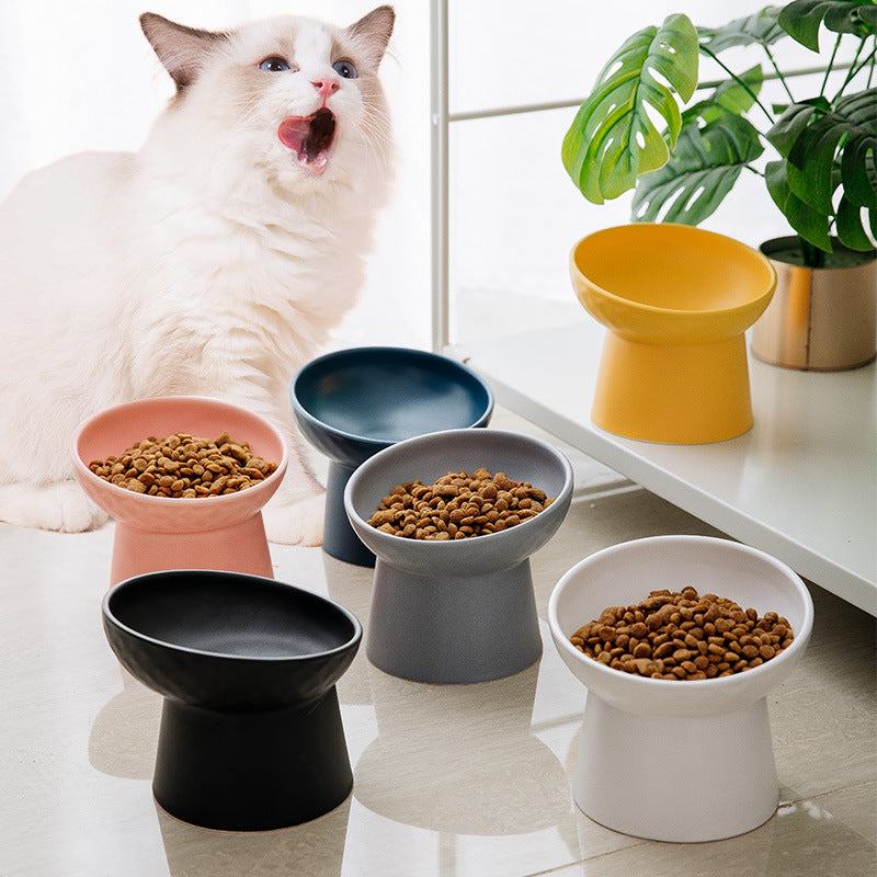PopSlant™ Ceramic Pet Bowl